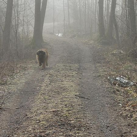 Tofvehults Boende Skaftet Exterior foto